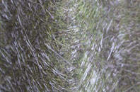 Garsdon fibreglass roof work